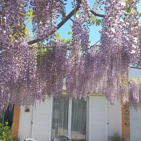 Holiday home Casa Dos Gansos