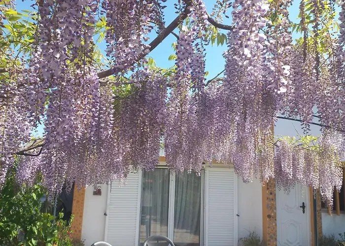 Vakantiehuis Casa Dos Gansos