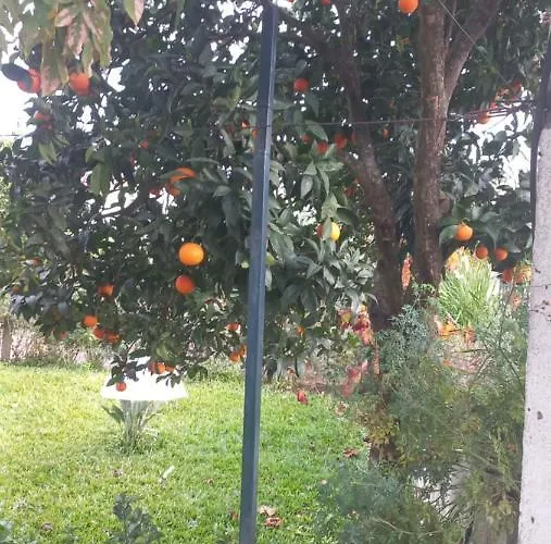 Casa Dos Gansos Prázdninový dům Perais