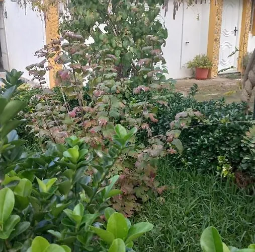 Casa Dos Gansos Perais